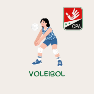 Taller Voleybol 3ero a 7mo básico